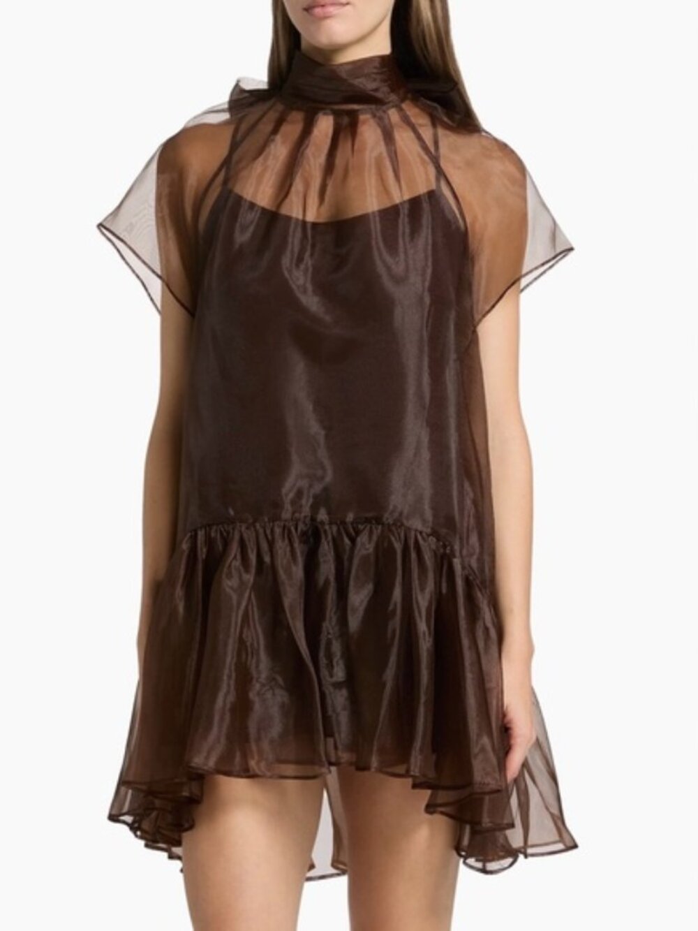 Chic Sheer Brown Mini Dress